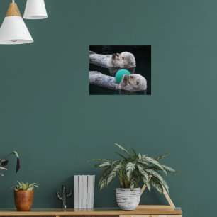 Poster Photos de Loutres de Mer