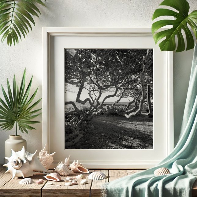 Poster Photos de plage en noir et blanc (Beach pictures Jupiter, Florida sea grapes by Victoria Grigaliunas of Do Tell A Belle)