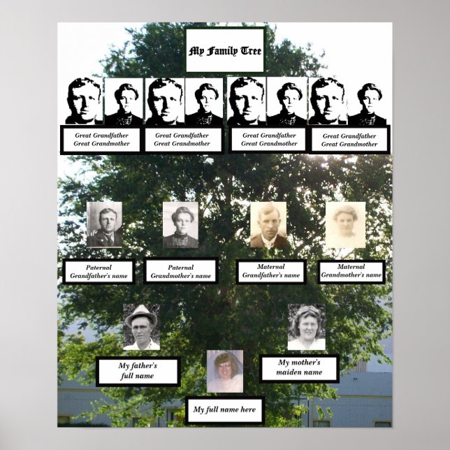 Poster Photos d'été de la famille Elm de quatre génératio (Devant)