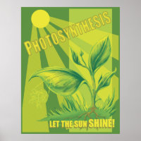 Photosynthèse