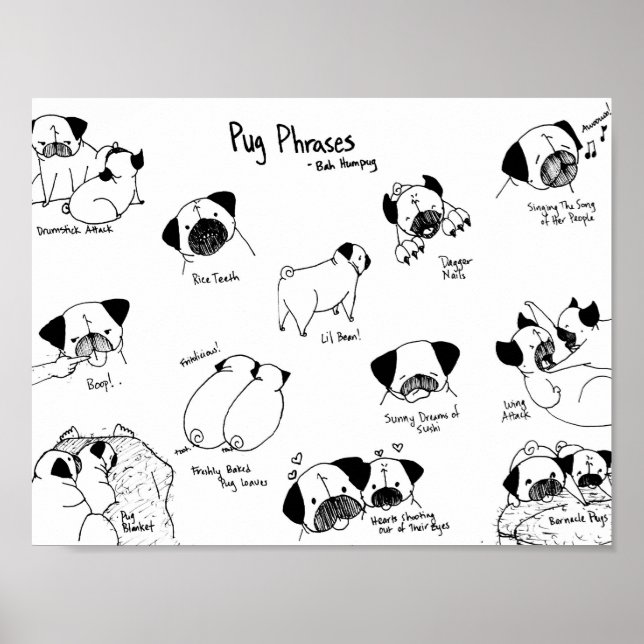 Poster Phrases de carlin (Devant)