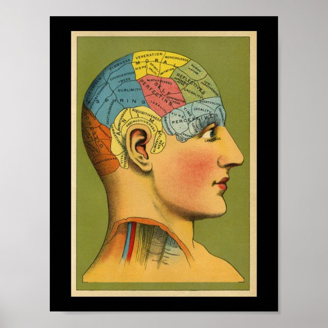 Poster Phrenologie humaine vintage Imprimer (Devant)