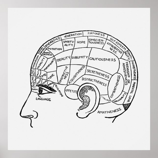 Poster Phrenologie vintage Neurologie illustrée (Devant)