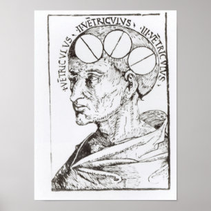 Poster Phrenology
