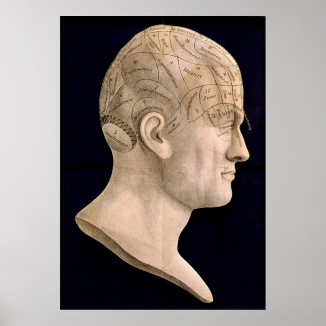 Poster Phréologie 1834 (Devant)