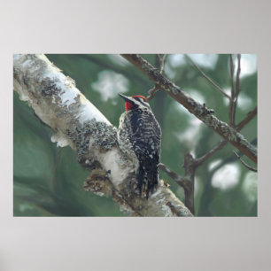 Poster Pic à bois