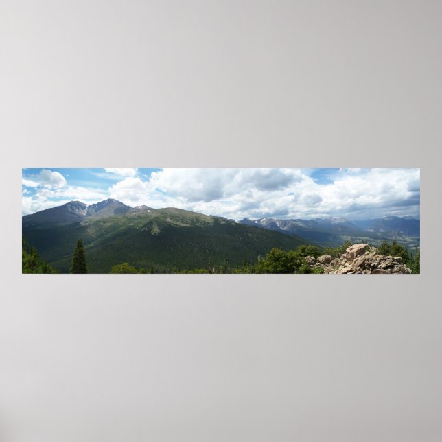 Poster Pic Longs (Devant)