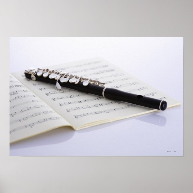 Poster Piccolo (Devant)