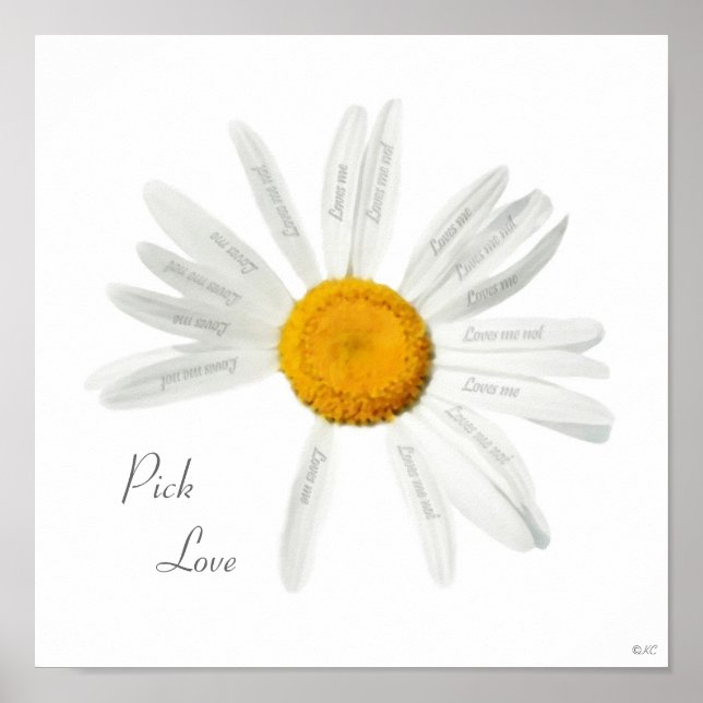 Poster Pick Love Daisy (Devant)