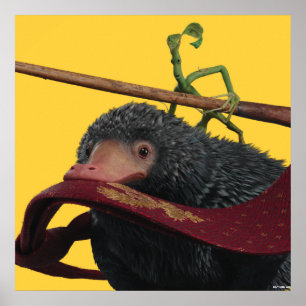 Poster Pickett & Teddy avec baguette et Cravate