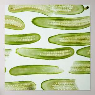 Poster Picks Green