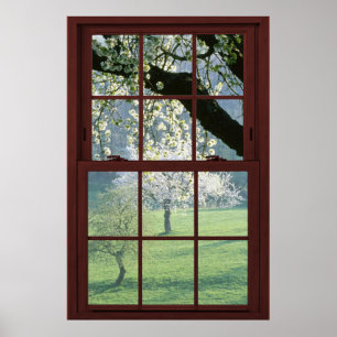 Poster Picture Window Landscape - Cherry Blossoms.