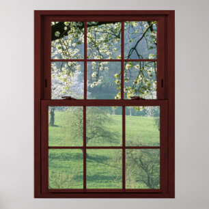 Poster Picture Window Landscape - Cherry Blossoms