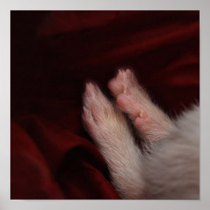 POSTER PIEDS