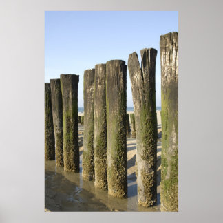 Poster Piégé à la plage