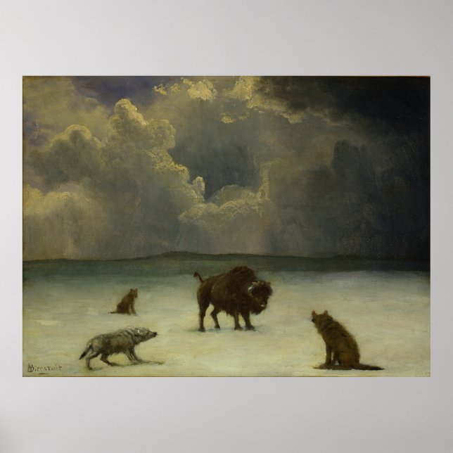 Poster Piégé par Albert Bierstadt (Devant)