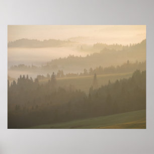 Poster Pieniny brouillard