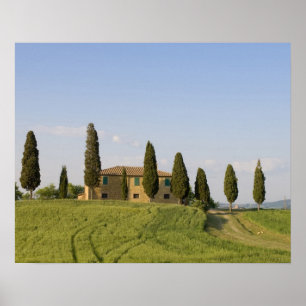 Poster Pienza, Val d'Orcia, province de Sienne, Toscane,