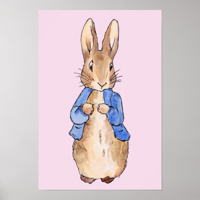 Poster Pierre le lapin (Devant)
