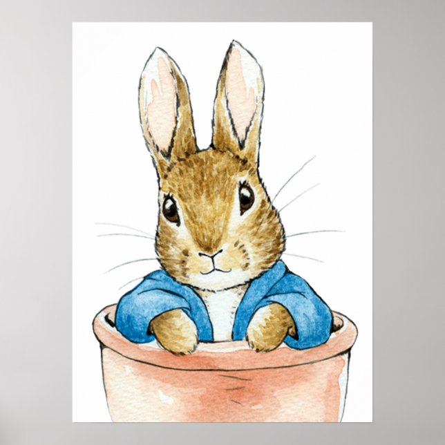 Poster Pierre le lapin assis dans un pot de plante      (Devant)