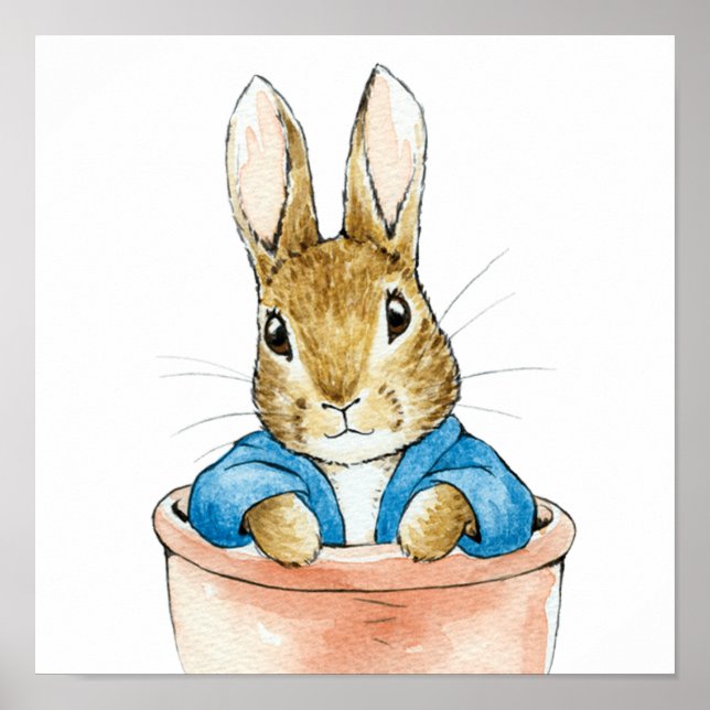 Poster Pierre le Lapin Assis dans un Pot de Plante   (Devant)