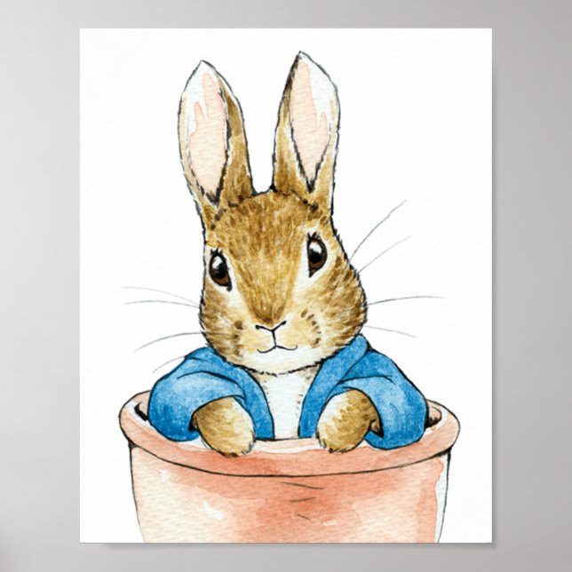Poster Pierre le lapin assis dans un pot de plante       (Devant)