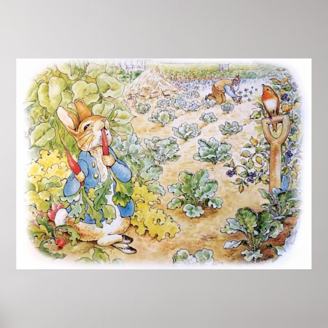 Poster Pierre le Lapin mangeant des carottes (Devant)