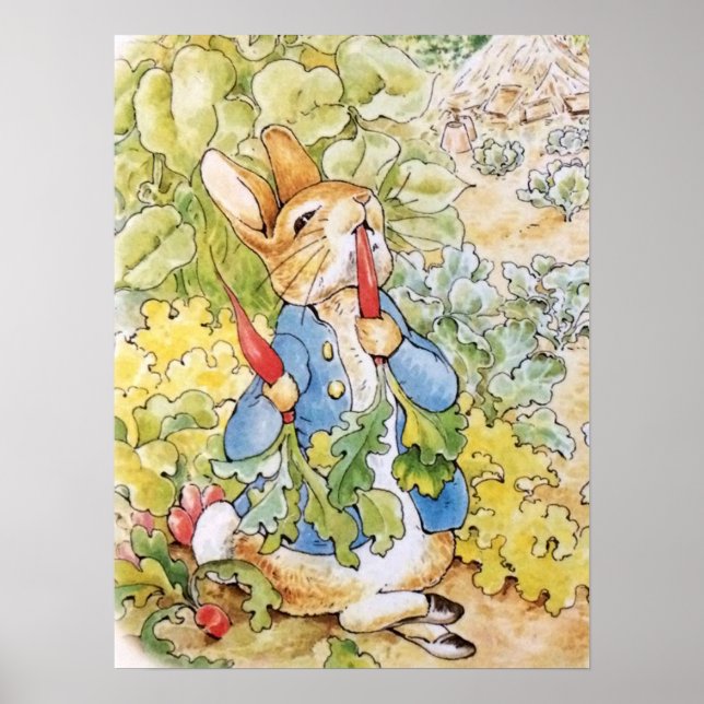 Poster Pierre le Lapin mangeant une carotte    (Devant)
