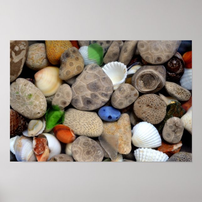 Poster Pierres Petoskey 3.0 (Devant)