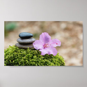 Poster Pierres Zen, Fleur, Paysage