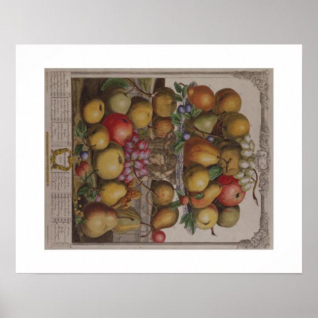 Poster Pieter Casteels, douze mois de fruits, décembre (Devant)