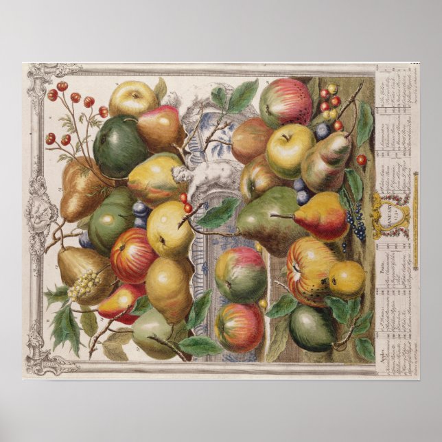 Poster Pieter Casteels, douze mois de fruits" Janvier (Devant)