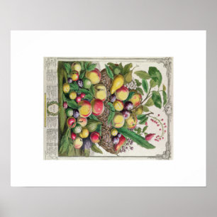 Poster Pieter Casteels, douze mois de fruits, juillet