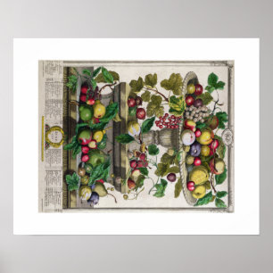 Poster Pieter Casteels, Douze mois de fruits, juin