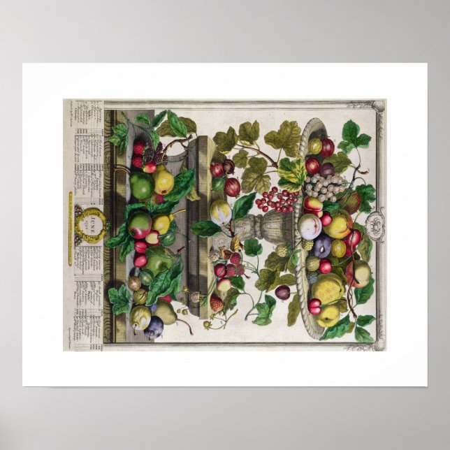 Poster Pieter Casteels, Douze mois de fruits, juin (Devant)