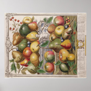 Poster Pieter Casteels, Twelve Months of Fruits"  January