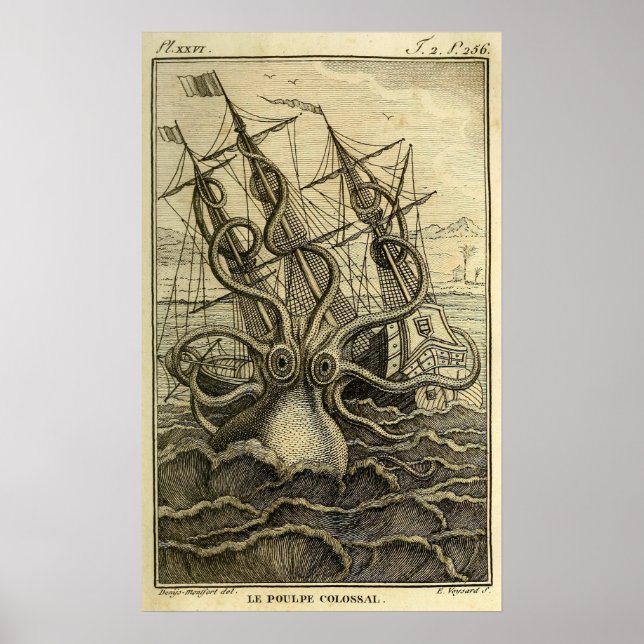 Poster Pieuvre géante Vintage 1801 Etching (Devant)