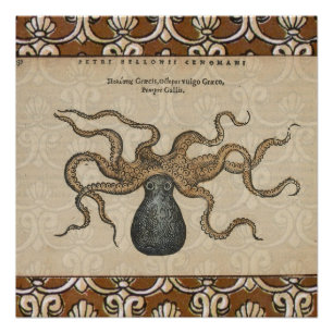 Poster Pieuvre Kraken Antique Faune Marine Côtière
