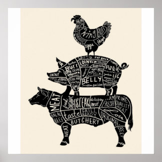 Poster Pig de vache Parties de poulet