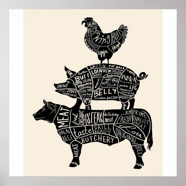Poster Pig de vache Parties de poulet (Devant)