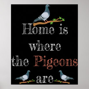 Poster Pigeon Lover Pigeon Racing Gift Pigeon Reproductio