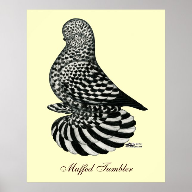 Poster Pigeon mousseux mousseux (Devant)