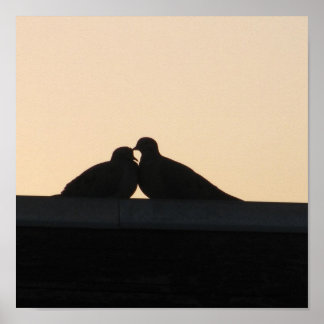 Poster Pigeons