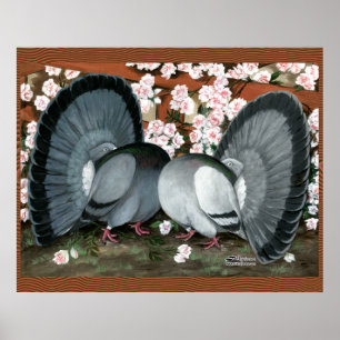 Poster Pigeons fantastiques jumelés