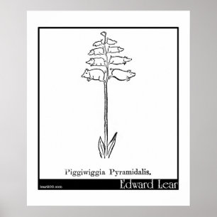 Poster Piggiwiggia Pyramidalis.