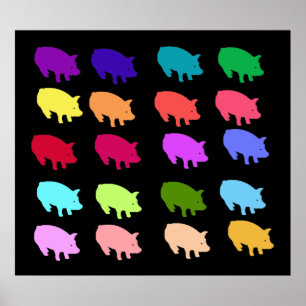 Poster Pigs de Rainbow