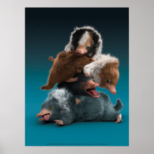 Poster Pile bébé NIFFLER™