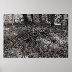 Poster Pile de bâtons - Noir et Blanc Toné Chaud