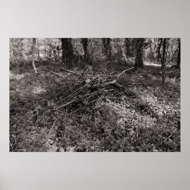 Poster Pile de bâtons - Noir et Blanc Toné Chaud (Devant)