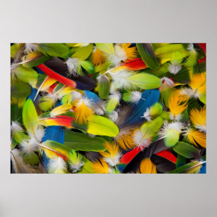 Poster Pile de plumes colorées